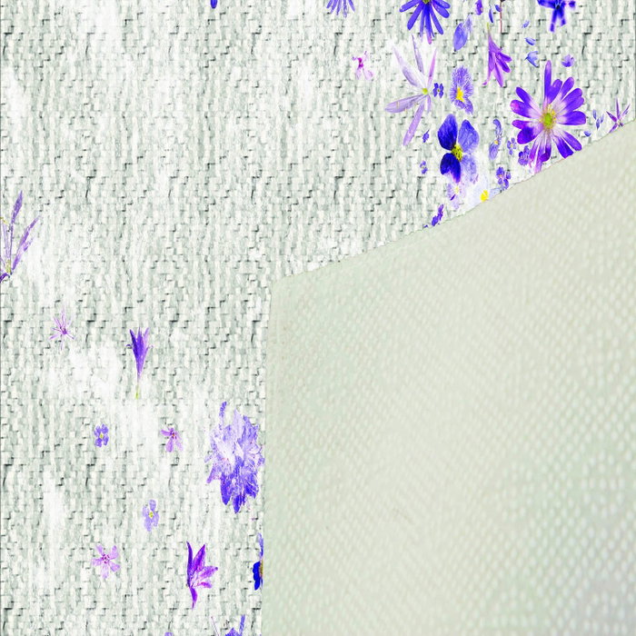 Conceptum Alfombra Eexfab433 Multicolor 80 x 120 cm